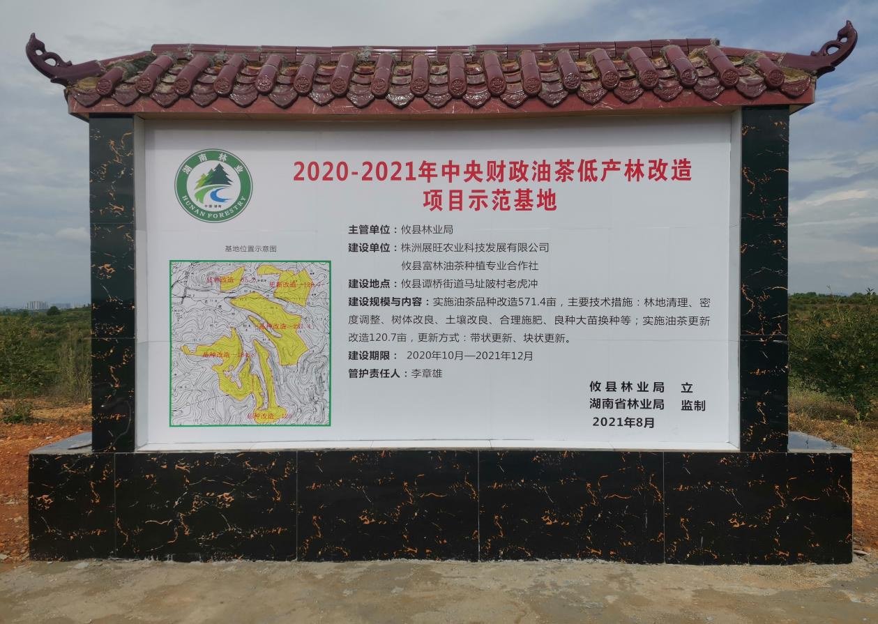 展望公司马址陂油茶基地