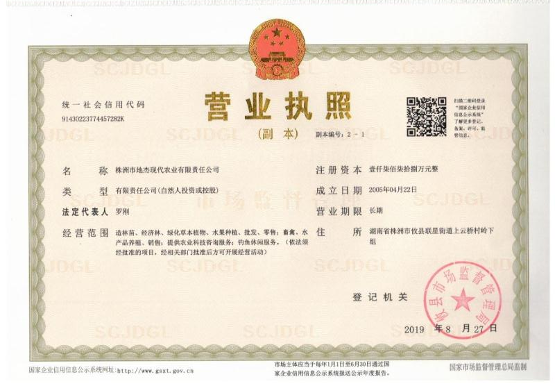 地杰公司营业执照.png